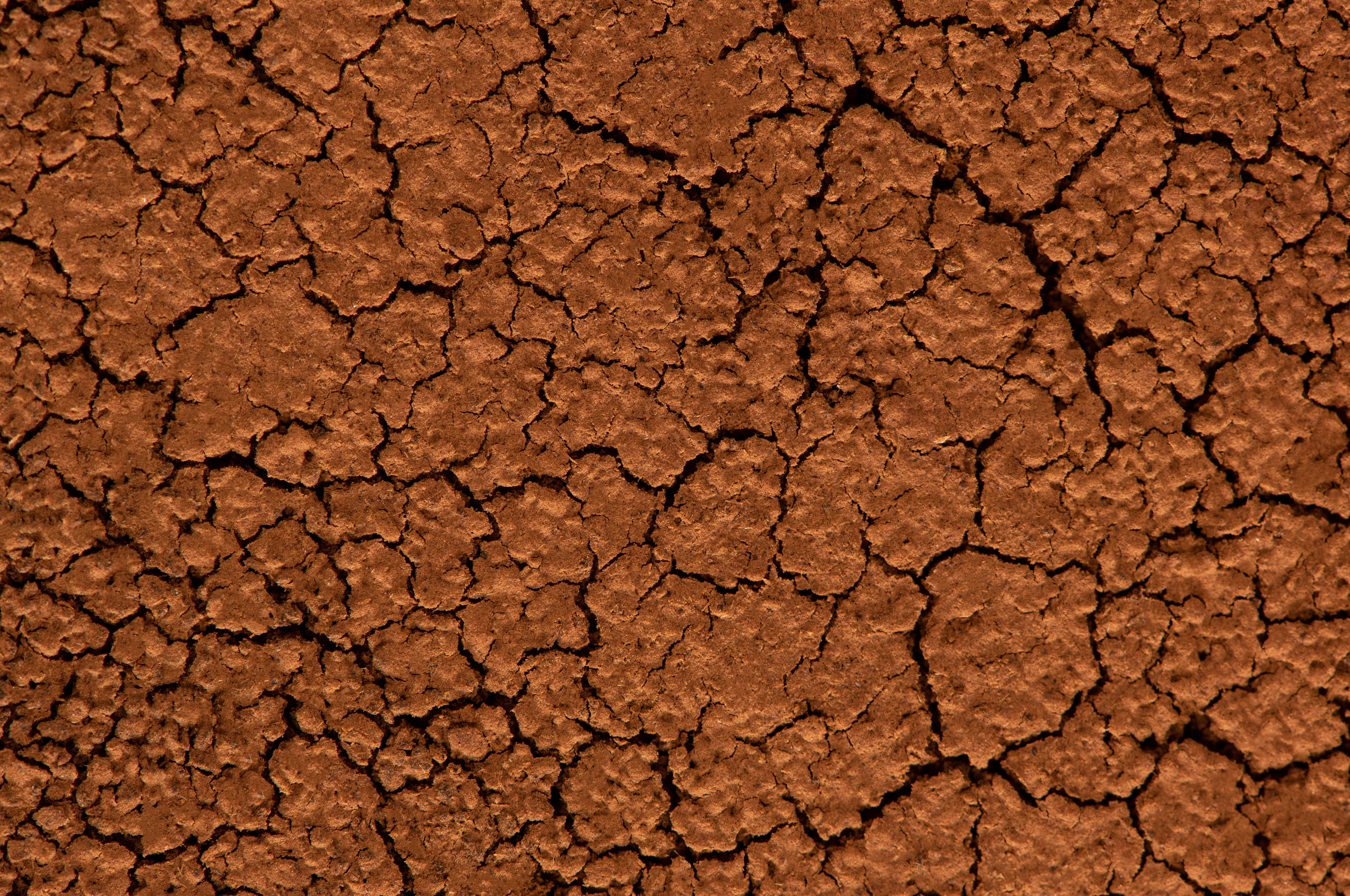 Fundo Galeria
